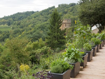 Holiday apartment Burggarten Apartment Neuleiningen - Outdoor photo 8