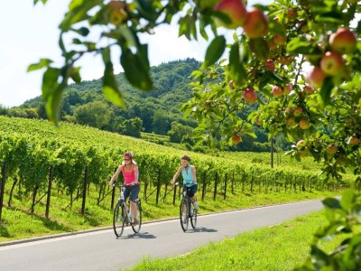 Holiday apartment Burggarten Apartment Neuleiningen - Environment photo 21