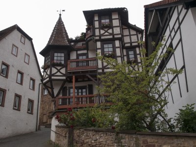 Holiday apartment Burggarten Apartment Neuleiningen - Environment photo 22