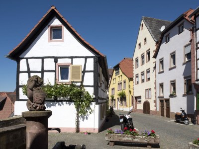 Holiday apartment Burggarten Apartment Neuleiningen - Environment photo 24