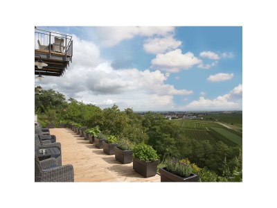 Holiday apartment Burggarten Apartment Neuleiningen - Environment photo 27