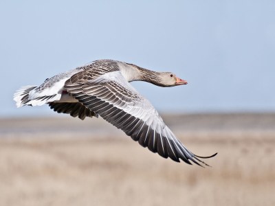 Holiday apartment Greetsieler Grachten 2 - Environment photo 18