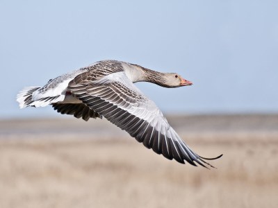 Holiday apartment Greetsieler Grachten 3 - Environment photo 16