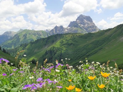 Holiday apartment Sonnalpin Waldhaus - Environment photo 17