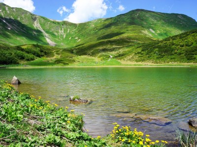 Holiday apartment Sonnalpin Waldhaus - Environment photo 19