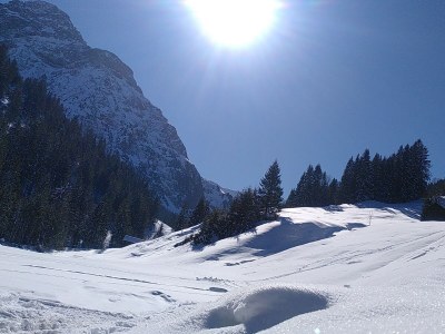 Holiday apartment Sonnalpin Waldhaus - Environment photo 23