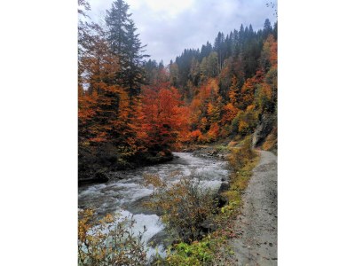 Holiday apartment Sonnalpin Waldhaus - Environment photo 24