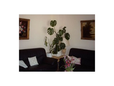 Holiday apartment Biersack Toni - Features photo 17