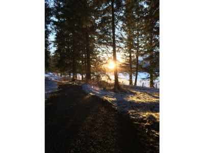 Holiday apartment Biersack Toni - Environment photo 31