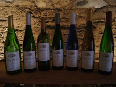 Holiday apartment Ferienhaus - Outdoor photo 7