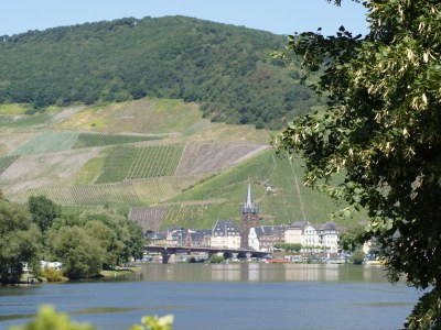 Holiday apartment Ferienhaus - Environment photo 18