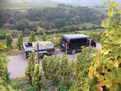 Holiday apartment Ferienhaus - Environment photo 20