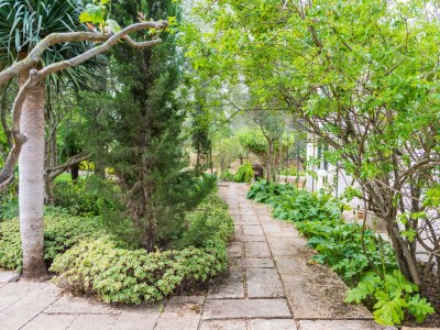 Villa CAS PILOT - Outdoor photo 52