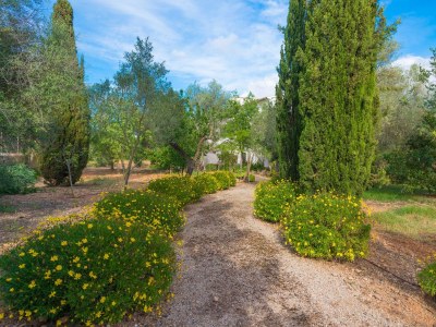 Villa CAS PILOT - Outdoor photo 60