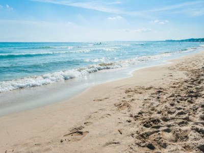 Chalet Salzes 4 - Outdoor photo 10