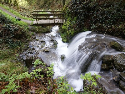 Holiday apartment Apart Heim - Typ B - Environment photo 17