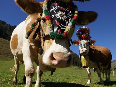 Holiday apartment Apart Heim - Typ B - Environment photo 19