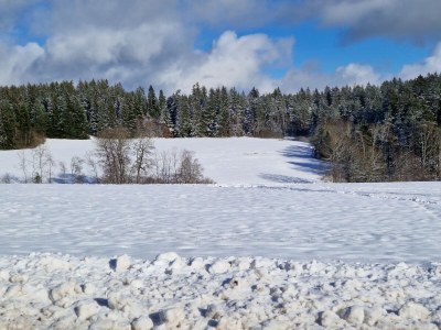 Holiday apartment Waldresidenz - Environment photo 17