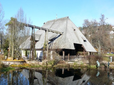Holiday apartment Waldresidenz - Environment photo 18