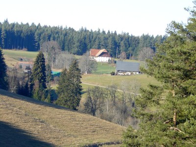 Holiday apartment Waldresidenz - Environment photo 20