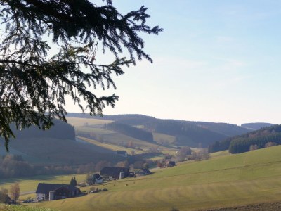 Holiday apartment Waldresidenz - Environment photo 21