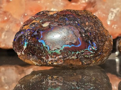 Holiday apartment Waldresidenz - Environment photo 23