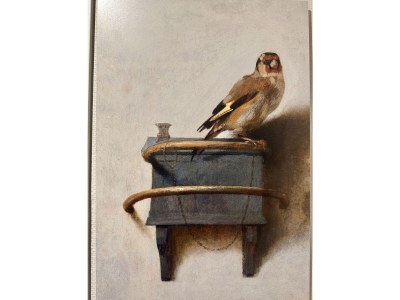 Holiday apartment Staete 6 - Features photo 13