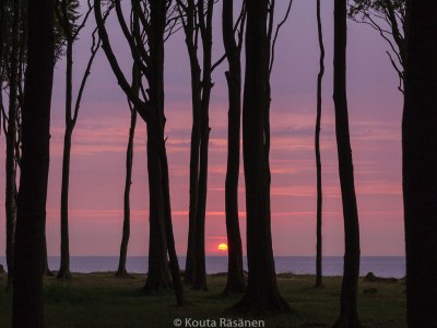 Bungalow 15 am Gespensterwald - Environment photo 13