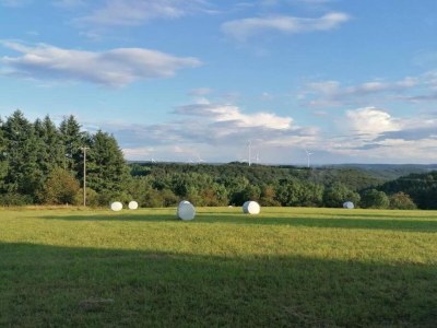 Villa Küstenvilla in der Nähe von Stränden - Environment photo 23