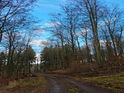 Villa Küstenvilla in der Nähe von Stränden - Environment photo 25