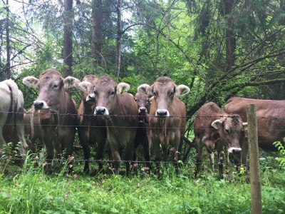 Apartment Endress - Outdoor photo 5