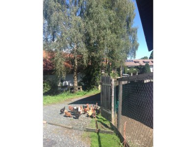 Apartment Endress - Outdoor photo 6