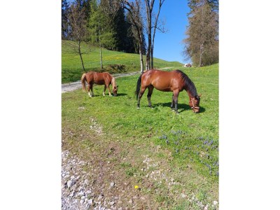 Apartment Endress - Outdoor photo 13