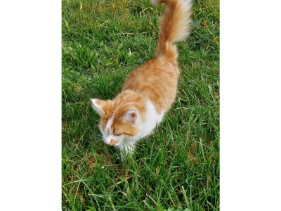 Apartment Endress - Outdoor photo 14