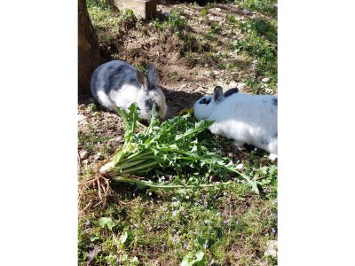 Apartment Endress - Outdoor photo 15