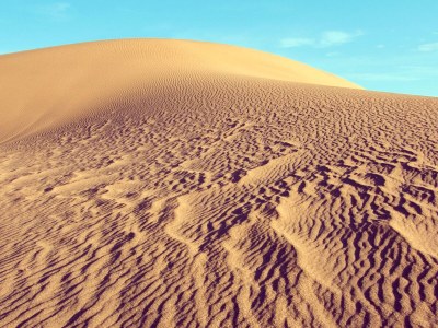 Holiday apartment van Almsick - Environment photo 11