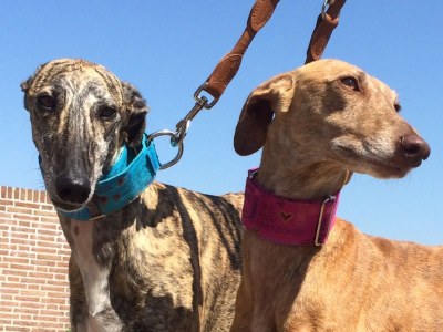 Holiday apartment van Almsick - Environment photo 12