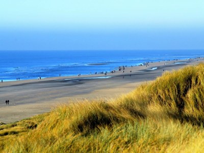 Holiday house Seahorse - Environment photo 16