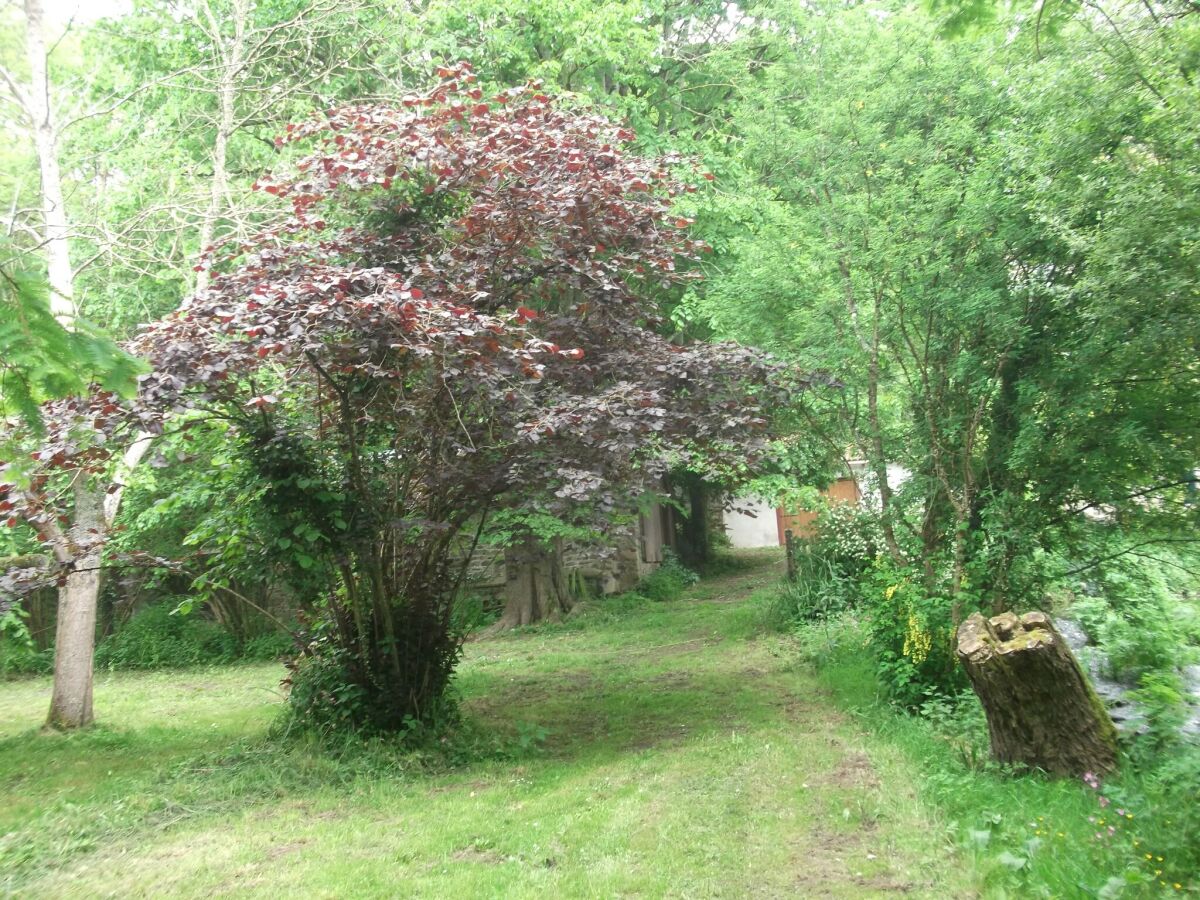Holiday house Charming Brittany Hideaway - Outdoor photo 5