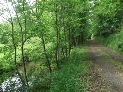 Holiday house Charming Brittany Hideaway - Environment photo 28