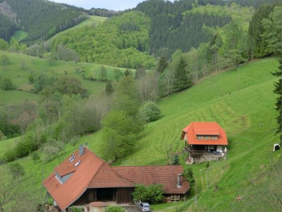 Holiday house Ferienhaus, Mühlenbach - Environment photo 21