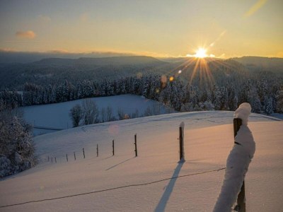 Holiday house Ferienhaus, Mühlenbach - Environment photo 30