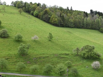 Holiday house Ferienhaus, Mühlenbach - Environment photo 31