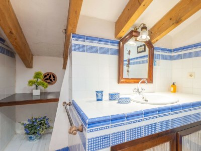 Villa Finca Son Costa - Features photo 35