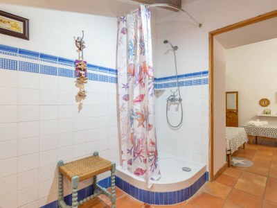 Villa Finca Son Costa - Features photo 36