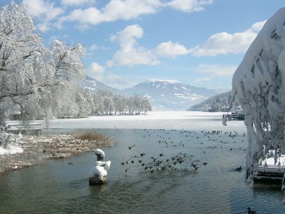 Holiday house Smileys Seehaus - Outdoor photo 11