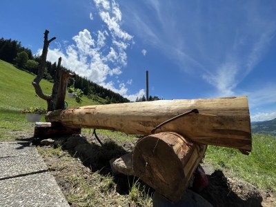 Alpine hut Schernthaner - Outdoor photo 9