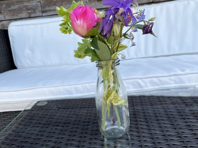 Alpine hut Schernthaner - Outdoor photo 10