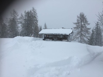 Alpine hut Schernthaner - Environment photo 25