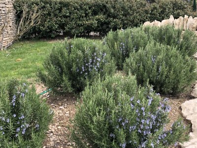 Holiday house Clos De La Bienvenue - Outdoor photo 7